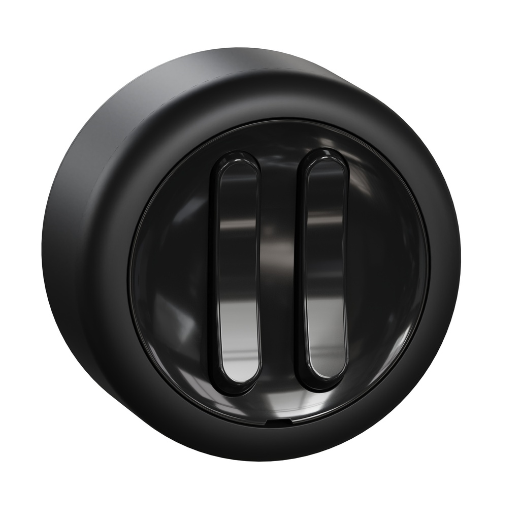 Kytkin Schneider Renova 5 kruunu pinta IP21 musta