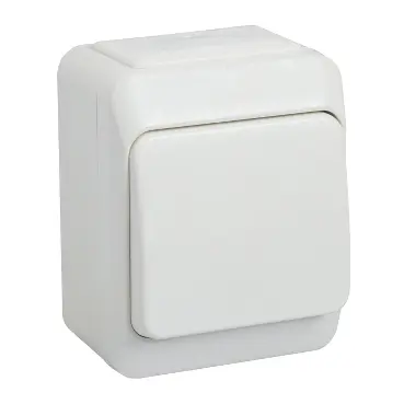 [WDE016016] Kytkin Schneider Exxact 5 kruunu pinta IP21 valkoinen